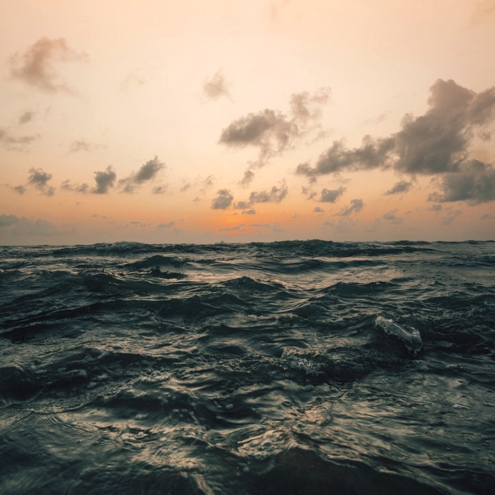 Meet your Posher, Alisha